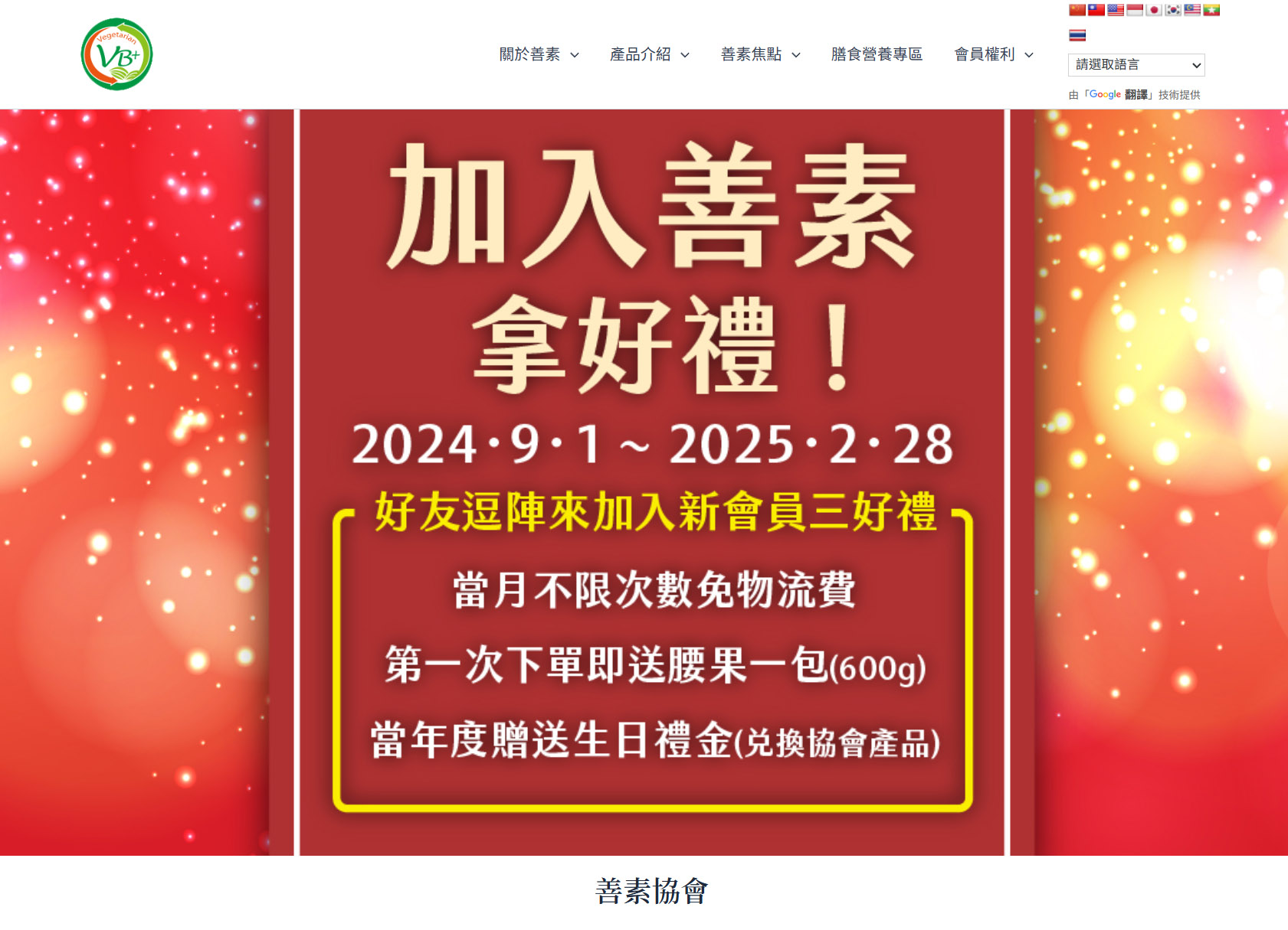 精選案例圖：善素協會網站設計